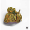 GREEN CANDY